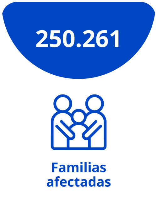 250.261 - Familias afectadas