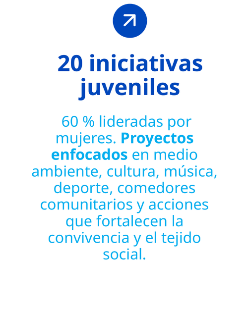 20 iniciativas juveniles. 60% lideradas por mujeres. Proyectos enfocados en medio ambiente, cultura, música, deporte, comedores comunitarios y acciones que fortalecen la convivencia y el tejido social.