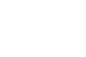 Logo Airline