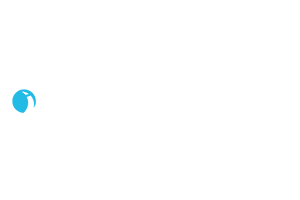 Patrocinador Land Rover