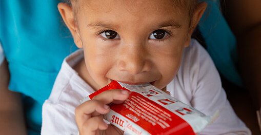 alimento terapéutico 