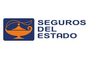 Seguros del estado