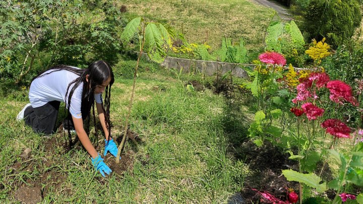 Cultivando bienestar
