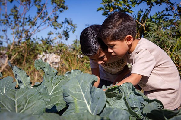 Jóvenes Cultivando Bienestar con UNICEF