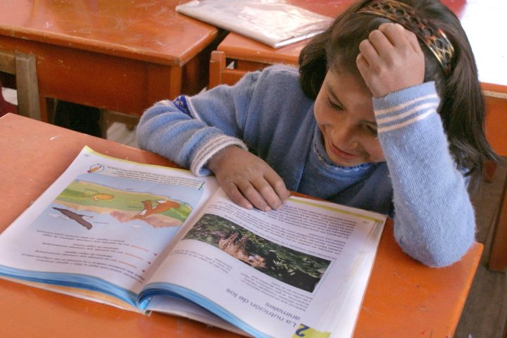 educacion