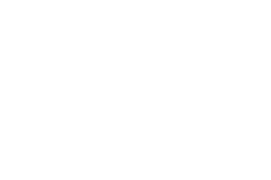 logo nexa